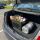Einkaufskorb 28 Liter in schwarz mit zwei Tragegriffe