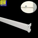 (B-Ware) Tegometall Regal Trageschiene 50x20 gelocht...