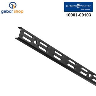 Wandschiene 2-reihig H 1500 schwarzmatt RA 50 Element System