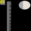 (B-Ware) Tegometall Regal Tego Säule 60x30mm  H200...
