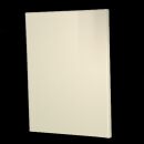 Tegometall Rückwand glatt AE 90° L16  H20...