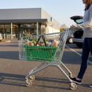 Einkaufskorb 22 Liter in grün mit zwei Tragegriffe